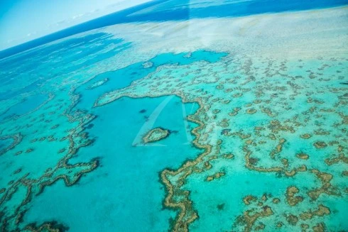 Airlie Beach - Découverte de la Grande Barrière de Corail